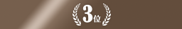 TS DESIGNランキング3位