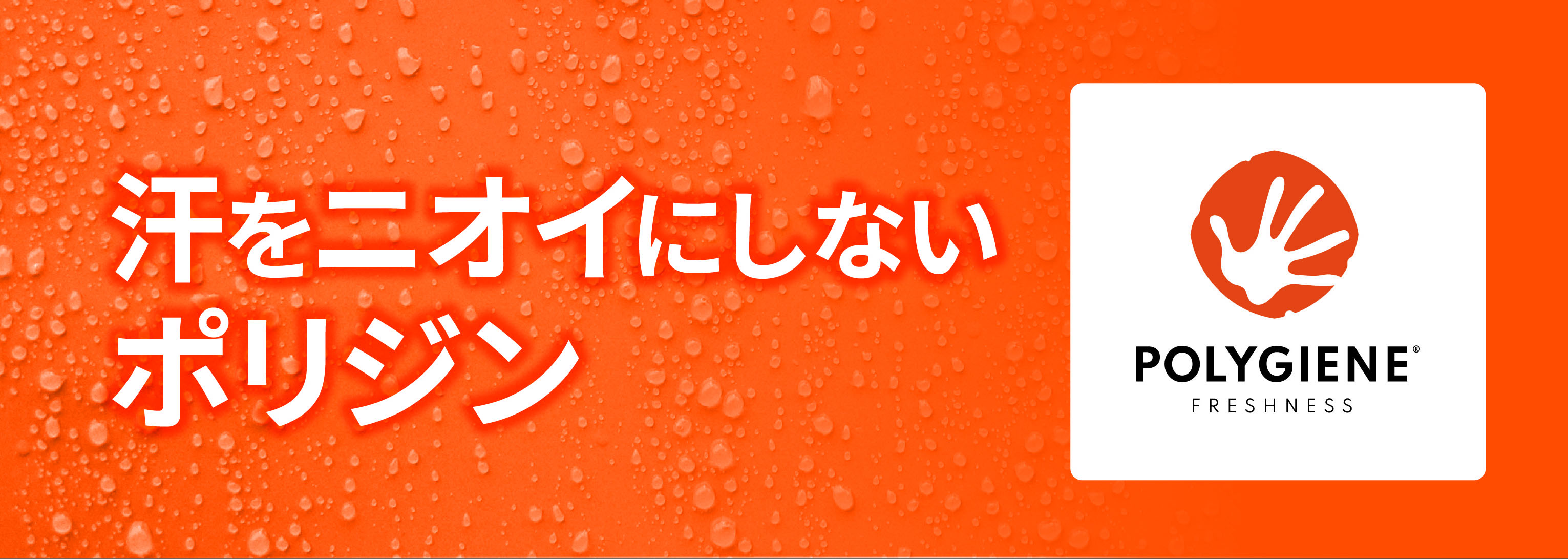 ポリジン