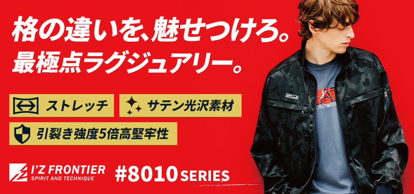 アイズフロンティア8010