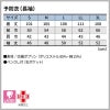 予防衣　ワンピースにもパンツにも合わせやすい割烹着型【住商モンブラン】