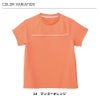 Tシャツ 介護［HM1579/カーシー]（SS-3L）男女兼用