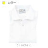 ポロシャツCR053-15(4L)