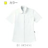 レディスニットシャツCR163-(S-3L)