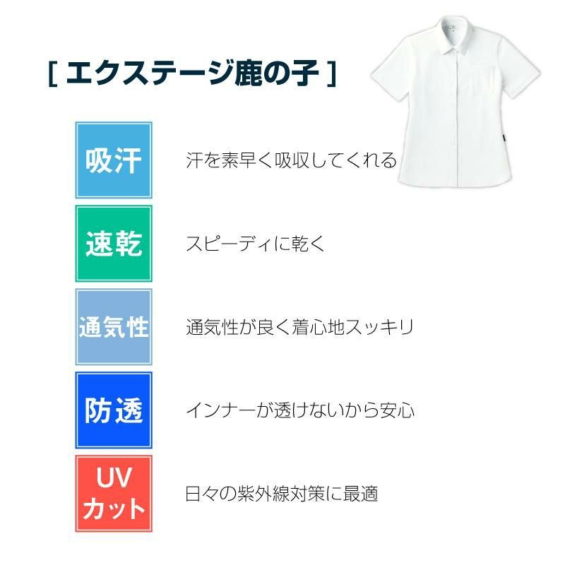 レディスニットシャツCR163-15(4L)