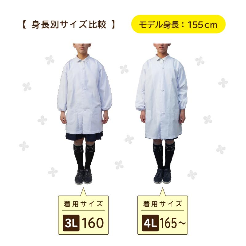 【制菌ノーアイロン】給食白衣 前ボタンA型 606-0