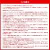空調風神服 フラットハイパワーファンセット[RD9220H/サンエス]2022年モデル