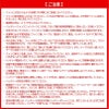 空調風神服 プロフェッショナルハイパワーファンセット（フラットタイプ）[RD9230H/サンエス]2022年モデル