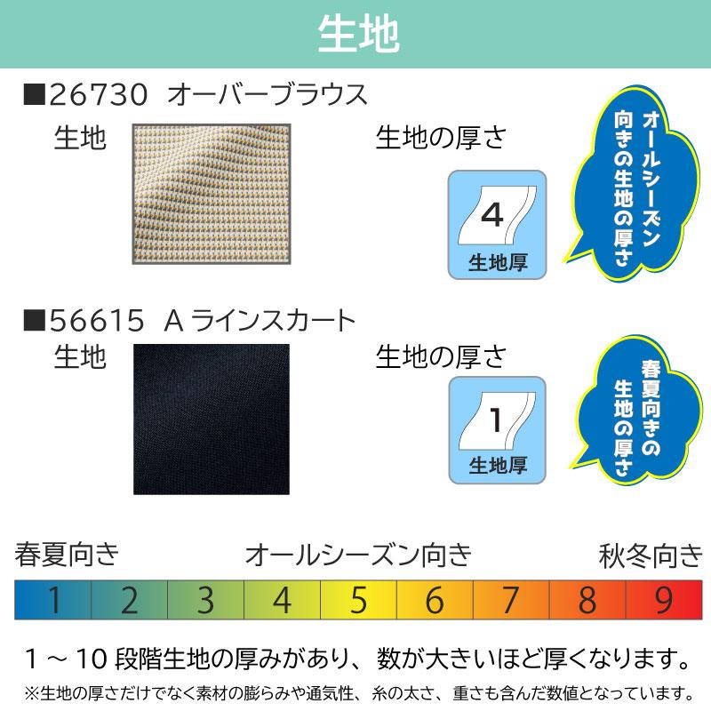 オーバーブラウス+Aラインスカート[ジョア/26670,56613]17号-19号