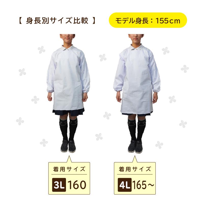 【3点セット】給食白衣 割烹着C型 SET605（4L-5L）