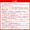 空調風神服 ファン＋バッテリーセット[RD9210H/RD9290J/サンエス]【2022年版セット】
