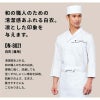 白衣 男女兼用 飲食[DN8021/チトセ]（SS-3L）