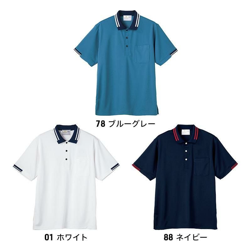 【新品・タグ付き】ANEW メンズ ポロシャツ L ブルー ホワイト ネイビー白 H67885s.jpg メンズウェア